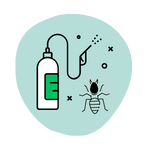 DIY termite control solutions showing risks and ineffective treatment