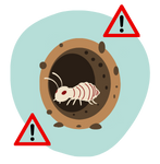 Professional termite bait system installed near Atlanta home