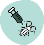 Store-bought cockroach gel bait failing to eliminate infestation in Atlanta home